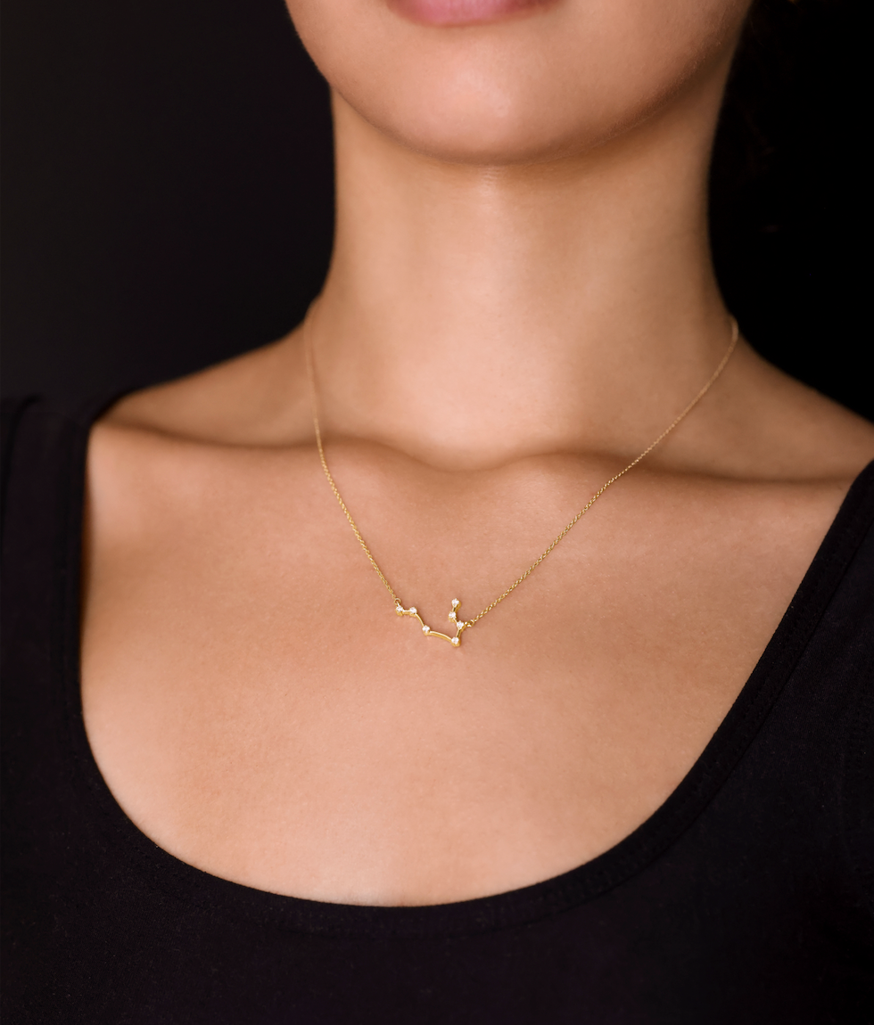 ZODIAC NECKLACE