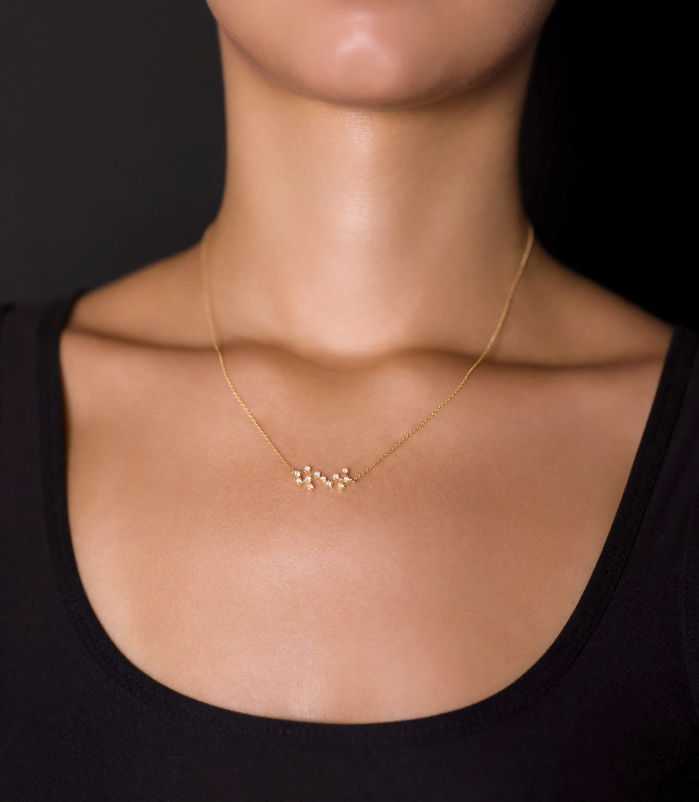 ZODIAC NECKLACE
