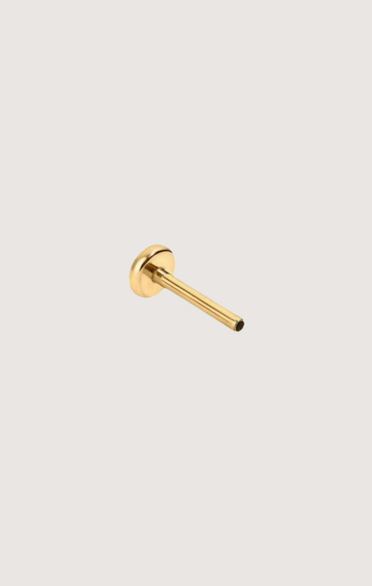 PUSH PIN BACK